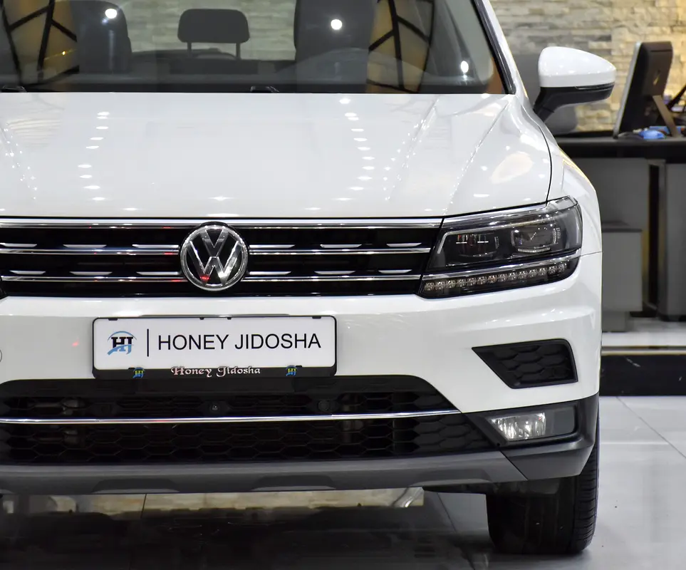 2019 Tiguan GCC