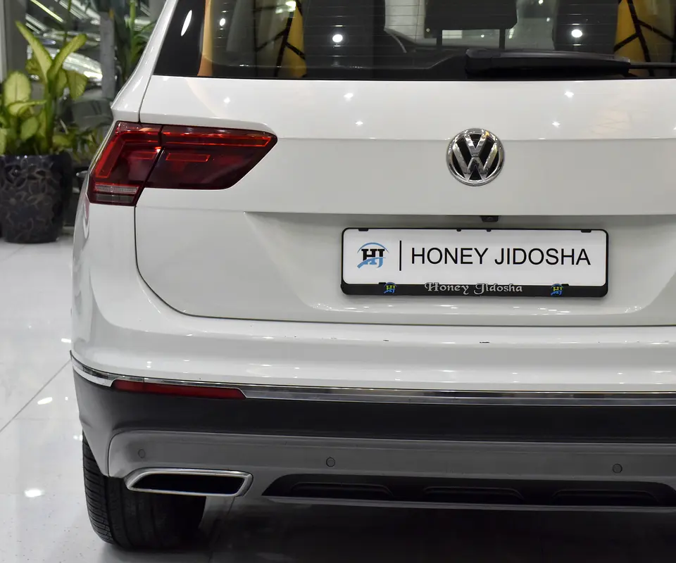 2019 Tiguan GCC
