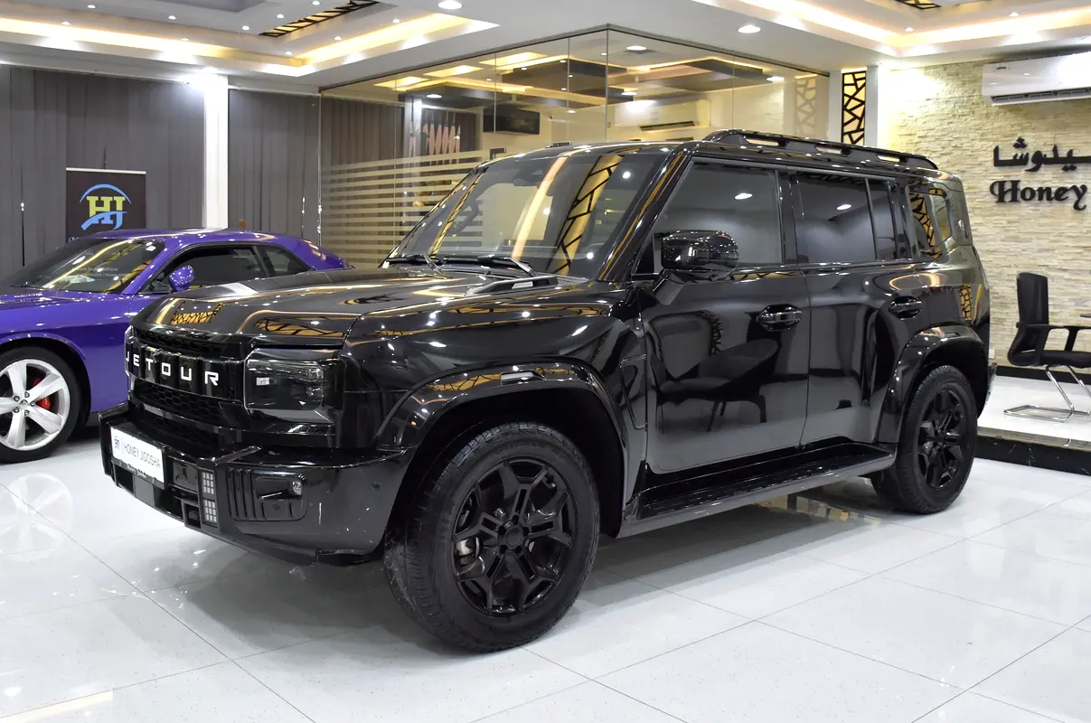 2024 T2 Chinese