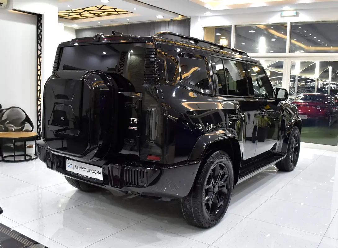 2024 T2 Chinese